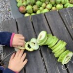 Herbst-Familientag bei Humulus – Alles rund um den Apfel