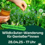 Wildkräuter-Wanderung für Genießer*innen