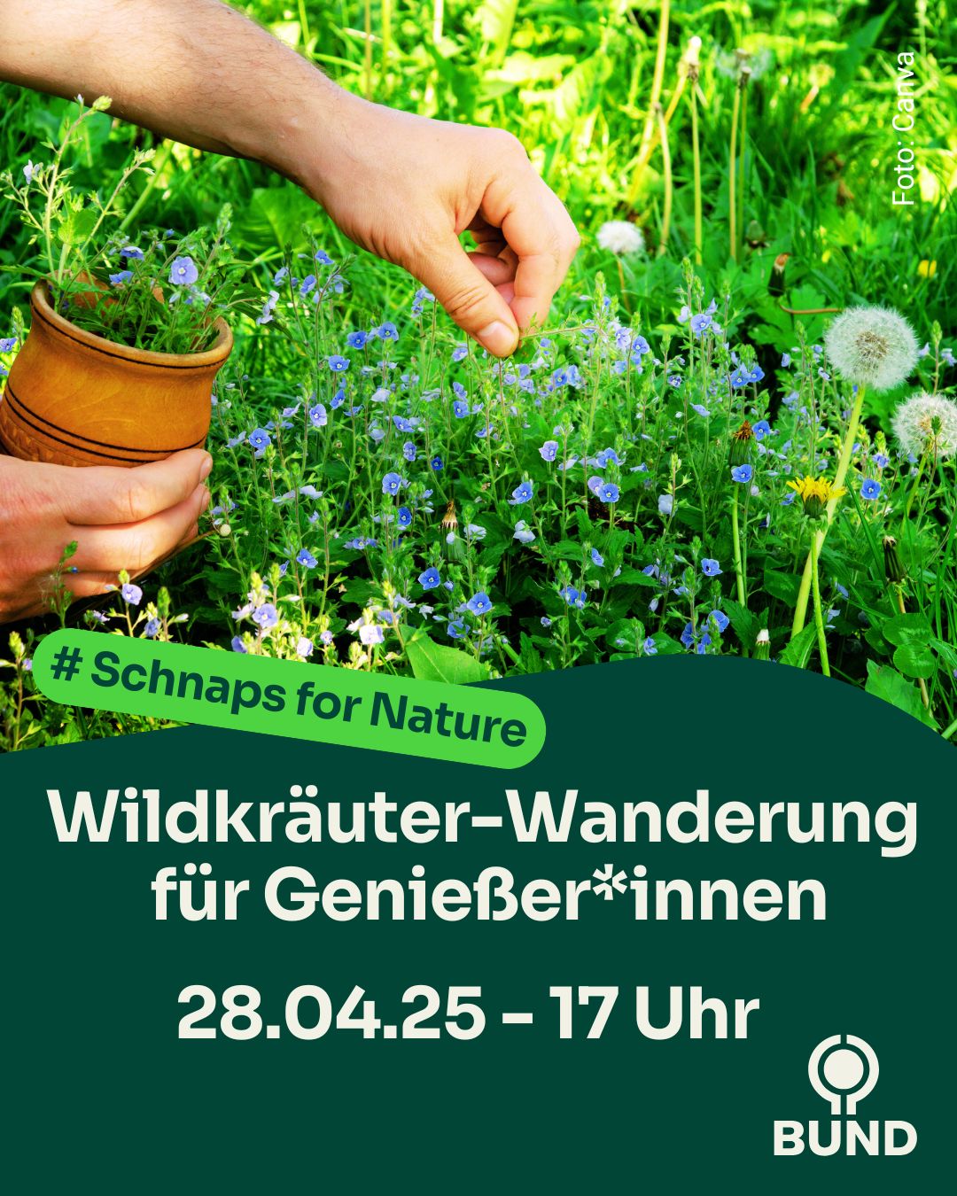 Wildkräuter-Wanderung für Genießer*innen