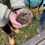 Familientag Herbst bei Humulus – Rund um den Igel