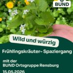 Wild und würzig - Frühlingskräuter-Spaziergang