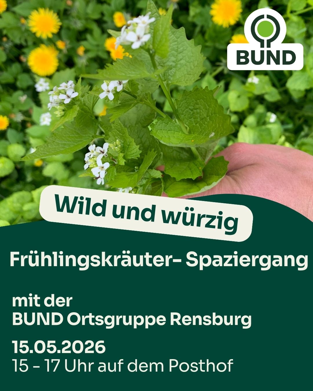 Wild und würzig - Frühlingskräuter-Spaziergang