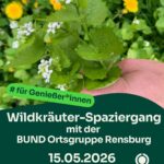 Wildkräuter-Spaziergang für Genießer*innen