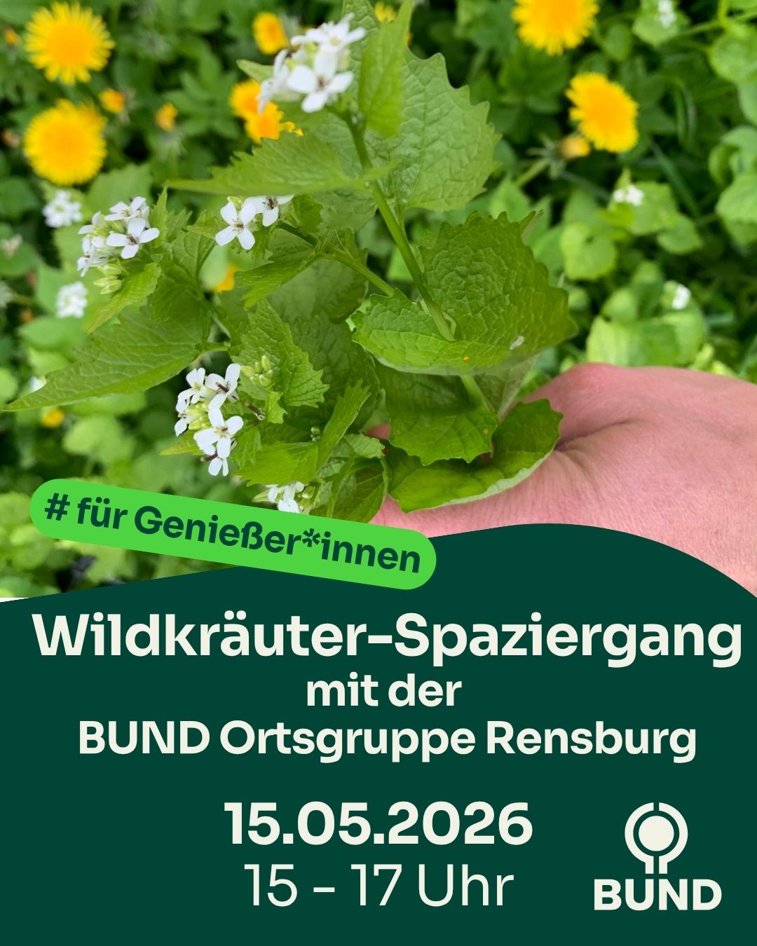 Wildkräuter-Spaziergang für Genießer*innen
